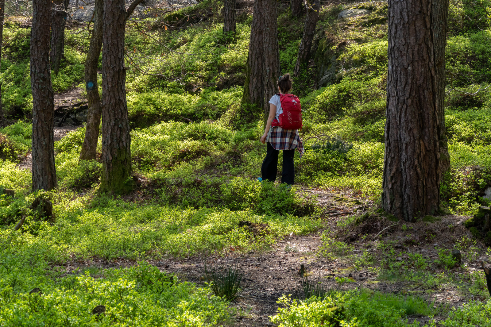 Kvinne går tur i skogen